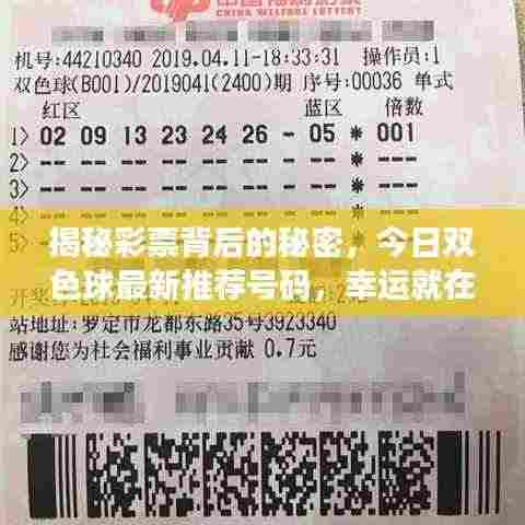 揭秘彩票背后的秘密,今日双色球最新推荐号码,幸运就在今日!
