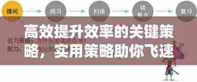 高效提升效率的关键策略,实用策略助你飞速进步!