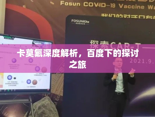 卡莫氟深度解析,百度下的探讨之旅
