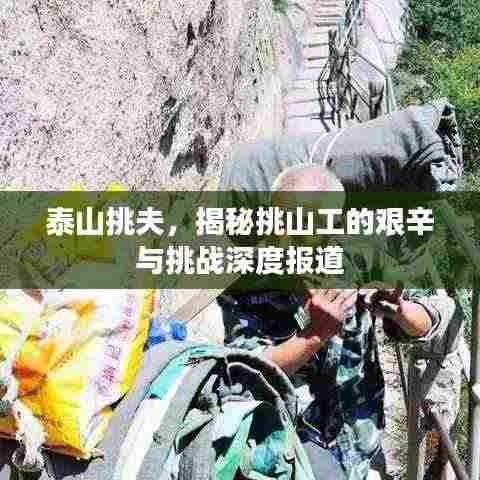 泰山挑夫,揭秘挑山工的艰辛与挑战深度报道