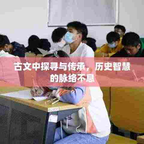 古文中探寻与传承,历史智慧的脉络不息