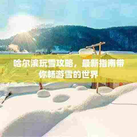 哈尔滨玩雪攻略,最新指南带你畅游雪的世界