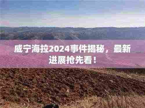 威宁海拉2024事件揭秘，最新进展抢先看！
