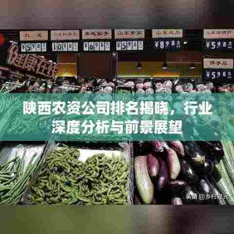 陕西农资公司排名揭晓,行业深度分析与前景展望