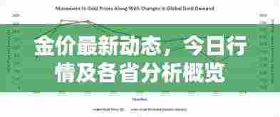 金价最新动态，今日行情及各省分析概览