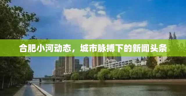 合肥小河动态,城市脉搏下的新闻头条