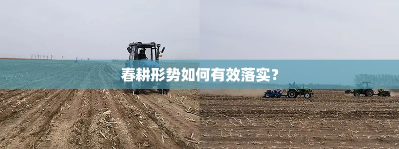 春耕形势如何有效落实?
