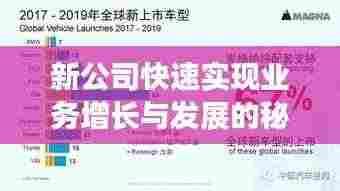新公司快速实现业务增长与发展的秘诀!