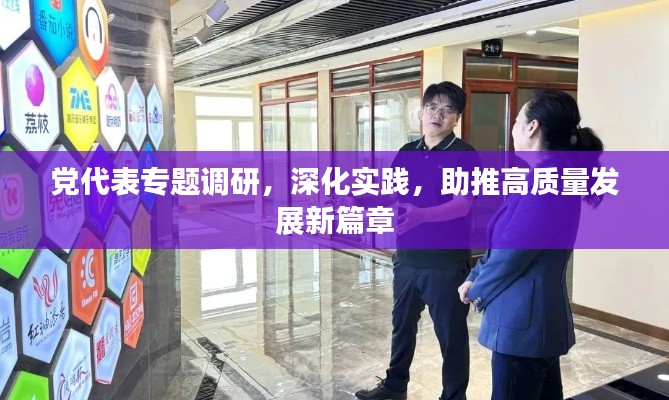 党代表专题调研，深化实践，助推高质量发展新篇章