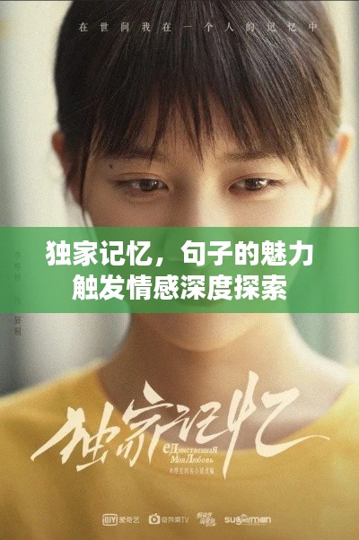 独家记忆，句子的魅力触发情感深度探索