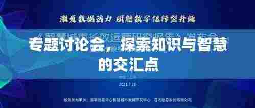 专题讨论会，探索知识与智慧的交汇点