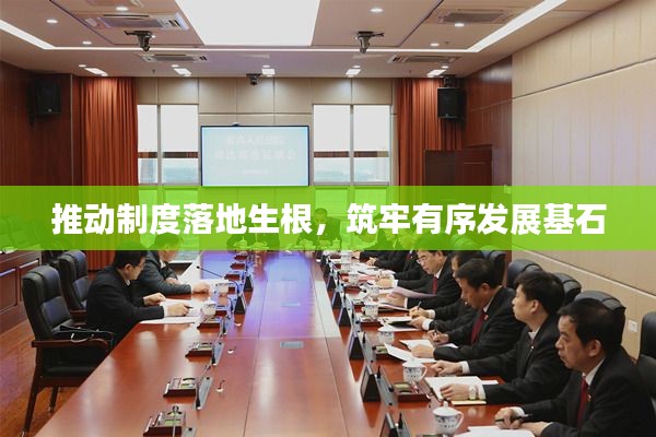 推动制度落地生根,筑牢有序发展基石