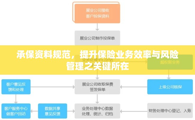 承保资料规范，提升保险业务效率与风险管理之关键所在
