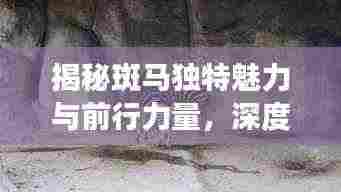 揭秘斑马独特魅力与前行力量,深度探索之旅
