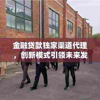 金融贷款独家渠道代理，创新模式引领未来发展之路