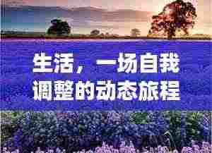 一往无前 第3页