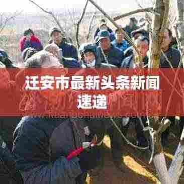 迁安市最新头条新闻速递