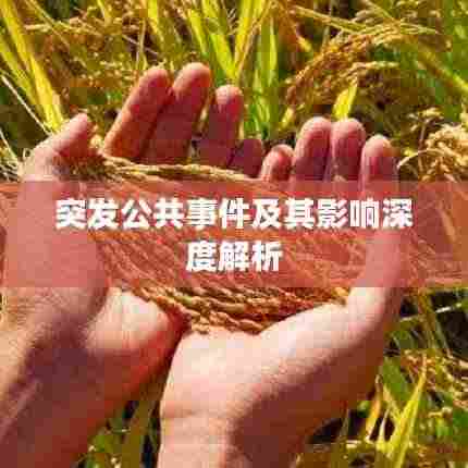 突发公共事件及其影响深度解析