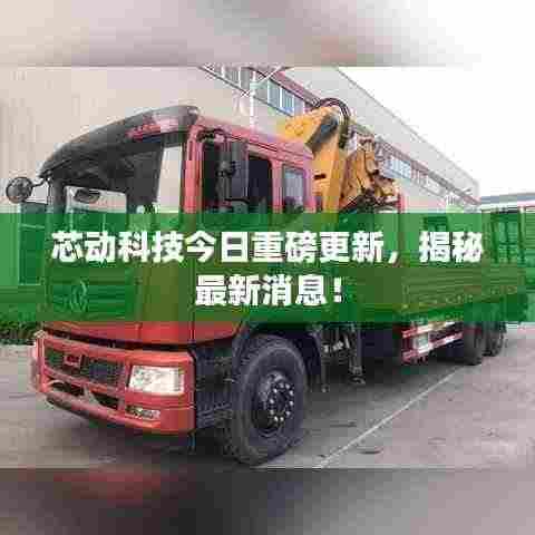 芯动科技今日重磅更新,揭秘最新消息!