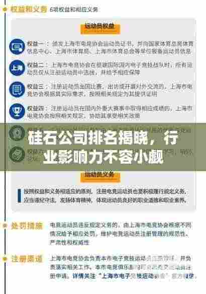 硅石公司排名揭晓,行业影响力不容小觑