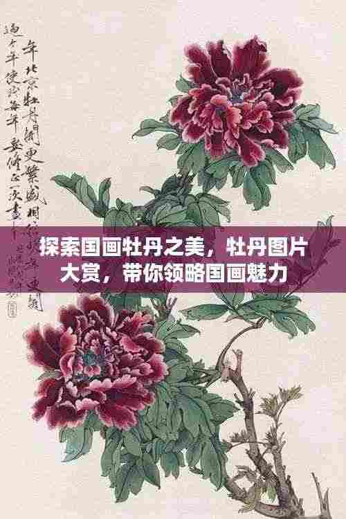 探索国画牡丹之美,牡丹图片大赏,带你领略国画魅力