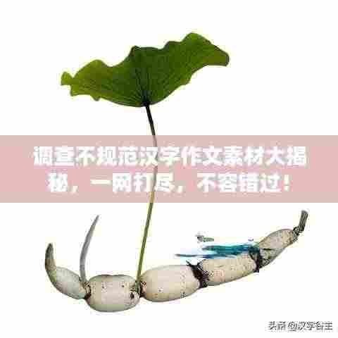 调查不规范汉字作文素材大揭秘,一网打尽,不容错过!