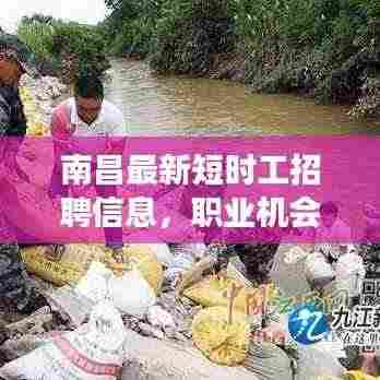 南昌最新短时工招聘信息,职业机会与前景展望