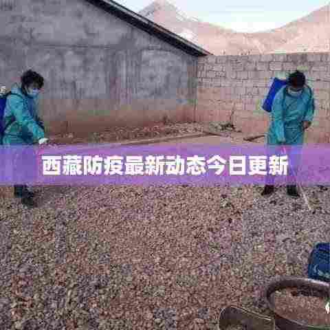 西藏防疫最新动态今日更新