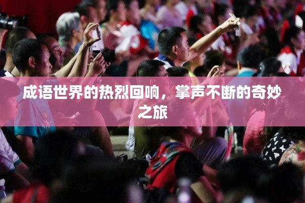 成语世界的热烈回响,掌声不断的奇妙之旅