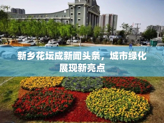 新乡花坛成新闻头条,城市绿化展现新亮点