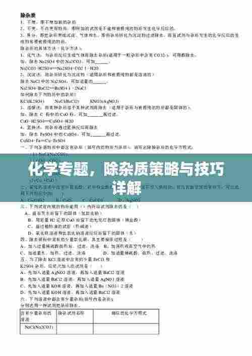 化学专题,除杂质策略与技巧详解
