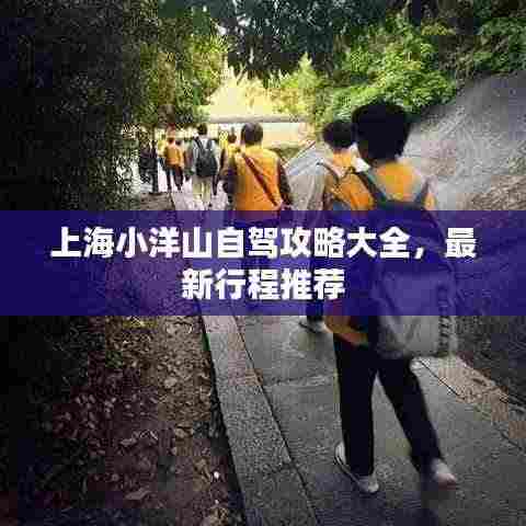 上海小洋山自驾攻略大全,最新行程推荐