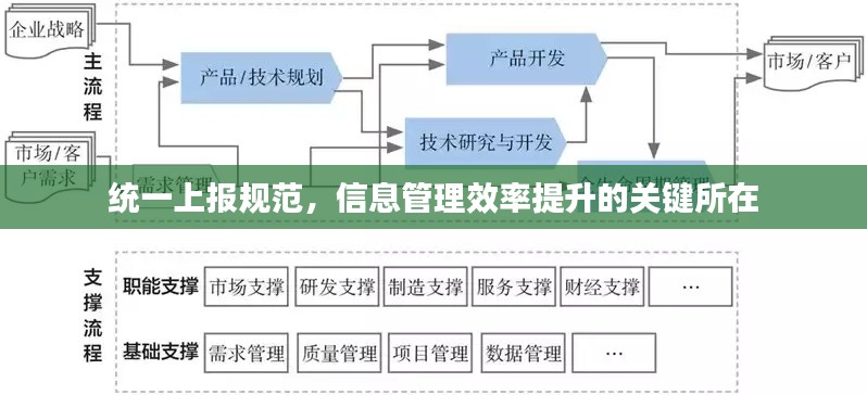 统一上报规范,信息管理效率提升的关键所在