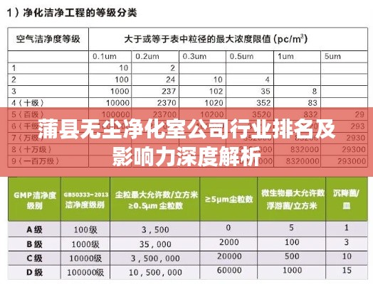 蒲县无尘净化室公司行业排名及影响力深度解析