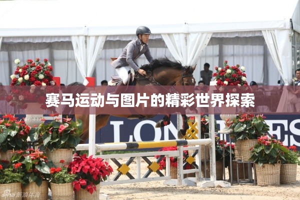 赛马运动与图片的精彩世界探索