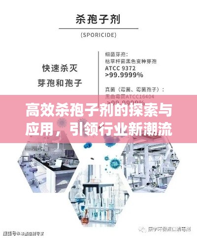 高效杀孢子剂的探索与应用，引领行业新潮流