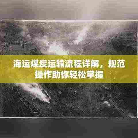 海运煤炭运输流程详解,规范操作助你轻松掌握