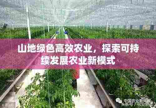 山地绿色高效农业,探索可持续发展农业新模式