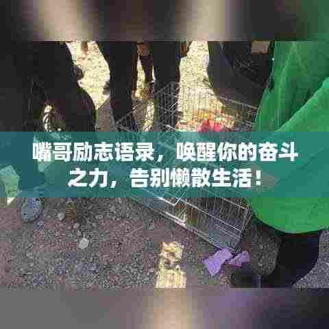 嘴哥励志语录,唤醒你的奋斗之力,告别懒散生活!