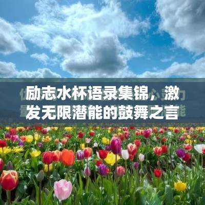 励志水杯语录集锦,激发无限潜能的鼓舞之言