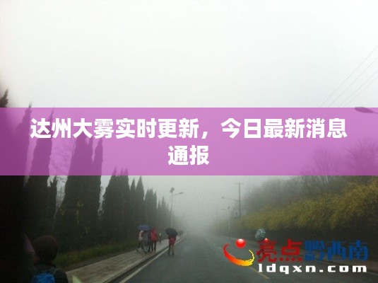 达州大雾实时更新,今日最新消息通报