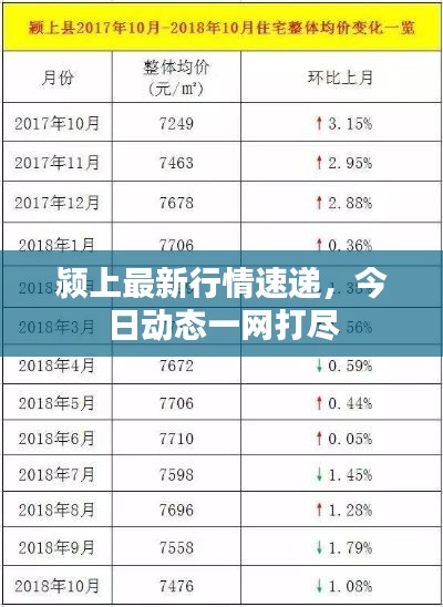 颍上最新行情速递,今日动态一网打尽