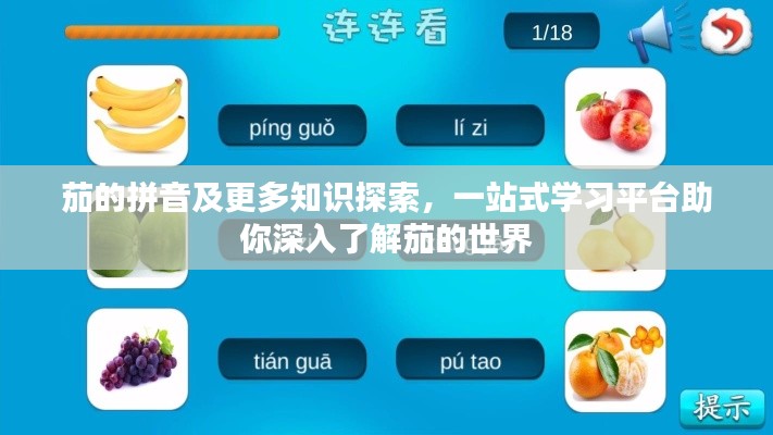 茄的拼音及更多知识探索,一站式学习平台助你深入了解茄的世界