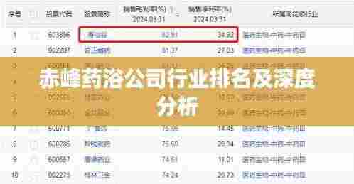 赤峰药浴公司行业排名及深度分析