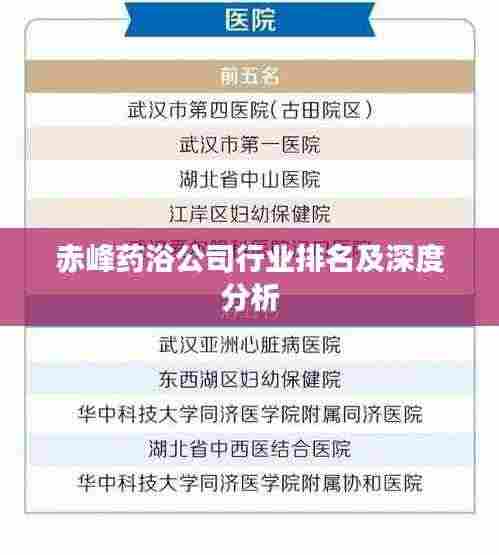 赤峰药浴公司行业排名及深度分析