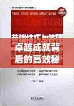 卓越成就背后的高效秘诀,名人高效例子大揭秘