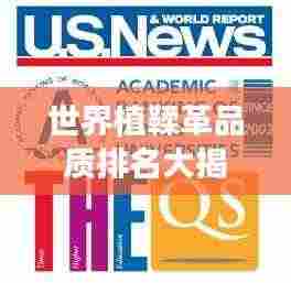 世界植鞣革品质排名大揭秘!