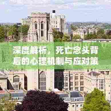 深度解析,死亡念头背后的心理机制与应对策略