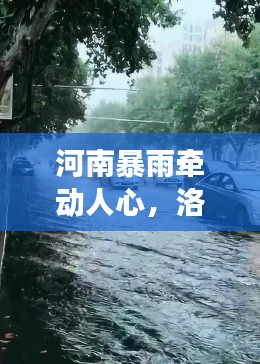 河南暴雨牵动人心,洛阳暴雨实时视频记录观察