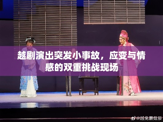 越剧演出突发小事故,应变与情感的双重挑战现场